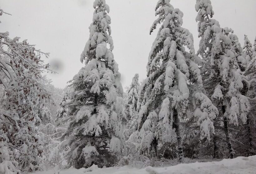 تختخواب و صبحانه The Buckmaster Inn