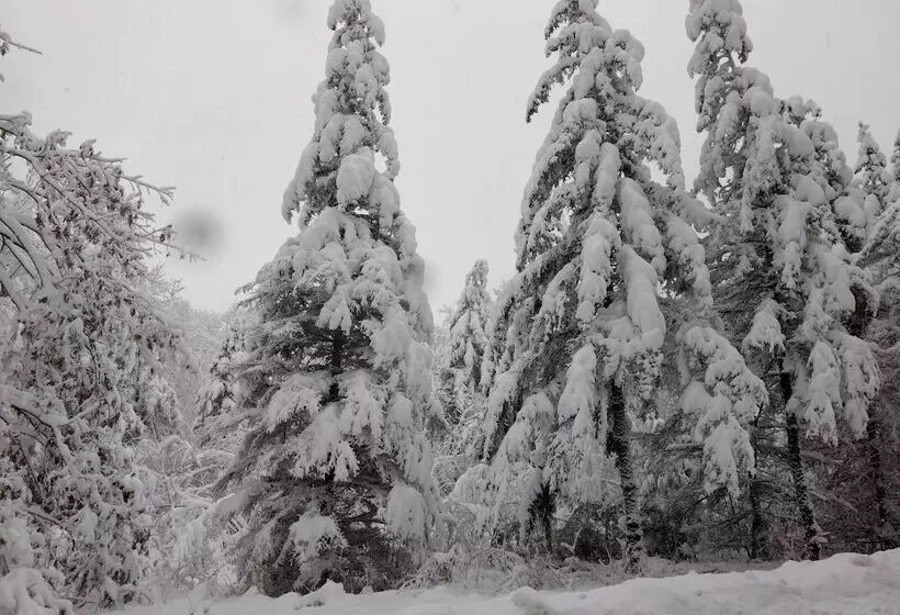 Aamiaismajoitus (B&B) The Buckmaster Inn