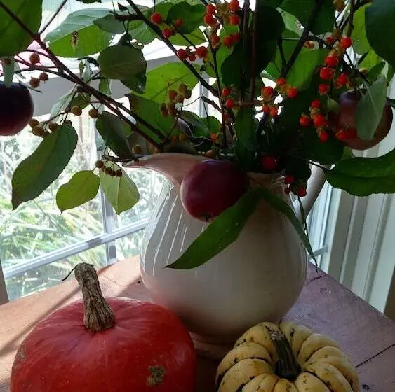 Aamiaismajoitus (B&B) The Buckmaster Inn