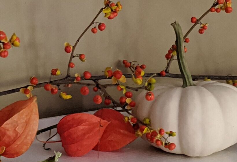 تختخواب و صبحانه The Buckmaster Inn