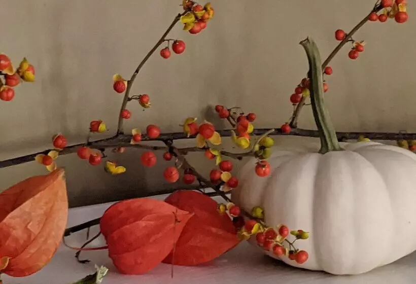 Aamiaismajoitus (B&B) The Buckmaster Inn