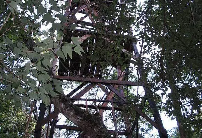 Hotelli Campamento Yaaxche En Calakmul