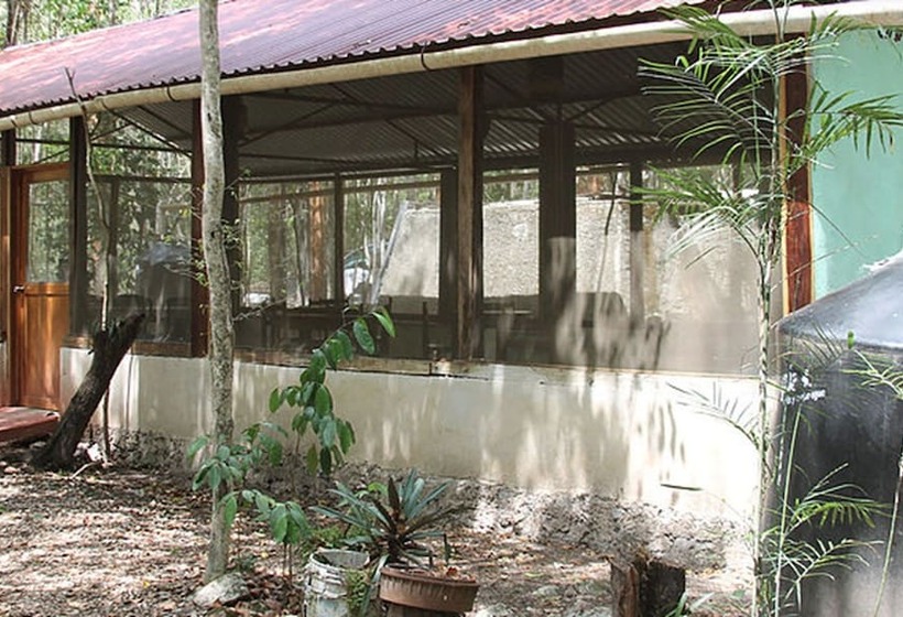 Hotel Campamento Yaaxche En Calakmul