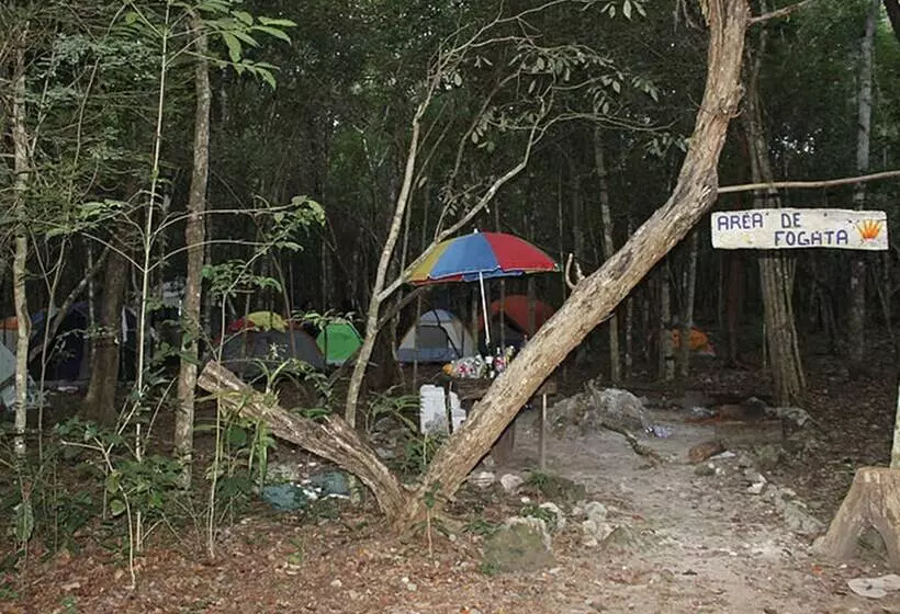 Hotelli Campamento Yaaxche En Calakmul