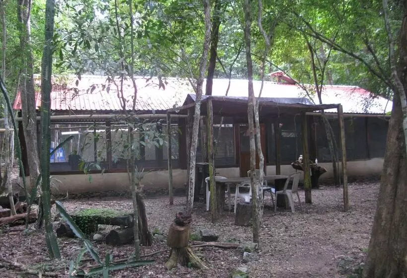 Hotelli Campamento Yaaxche En Calakmul