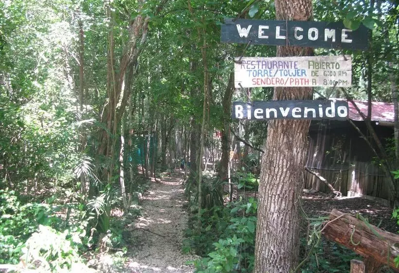 Hotelli Campamento Yaaxche En Calakmul
