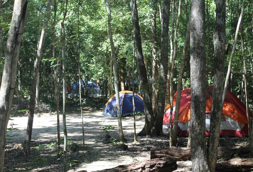 Hotel Campamento Yaaxche En Calakmul
