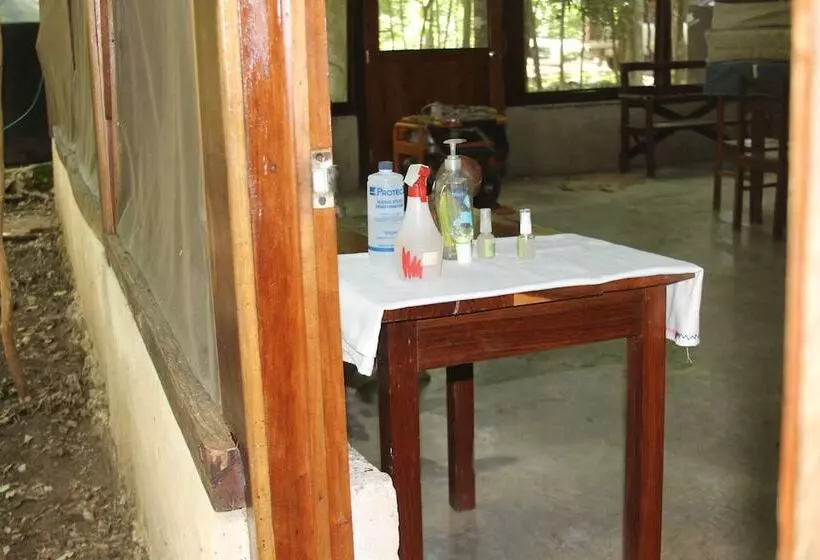 Hotelli Campamento Yaaxche En Calakmul