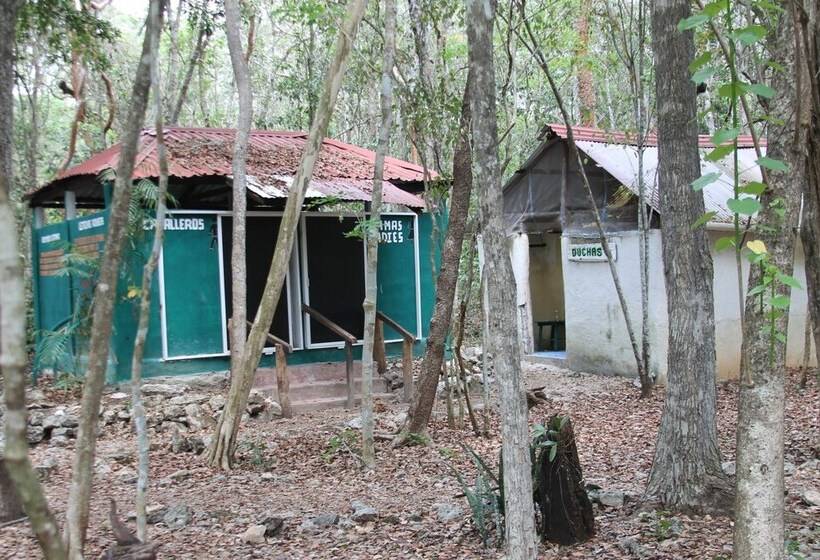 Hotel Campamento Yaaxche En Calakmul