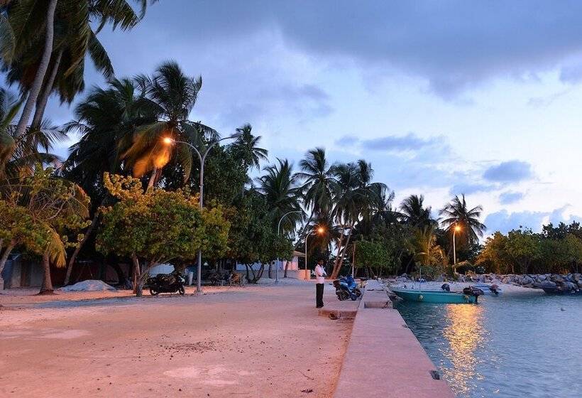 Hotel Eden Baani Lodge