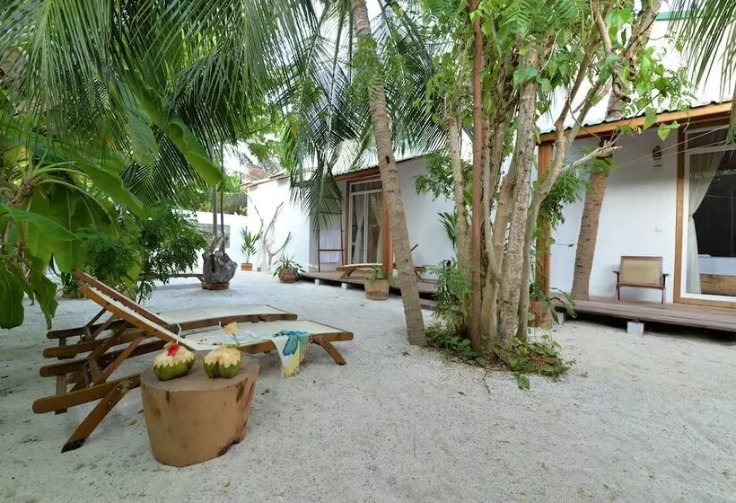 هتل Eden Baani Lodge