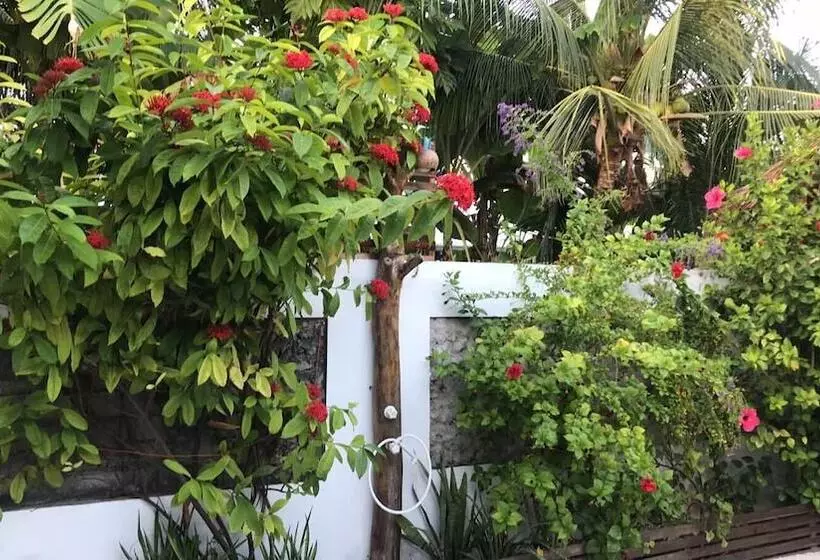 هتل Eden Baani Lodge