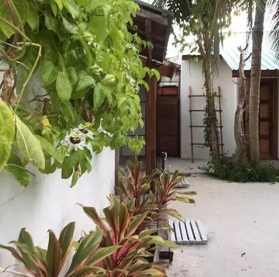 هتل Eden Baani Lodge