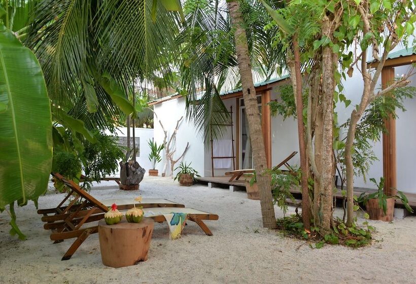 Hotel Eden Baani Lodge