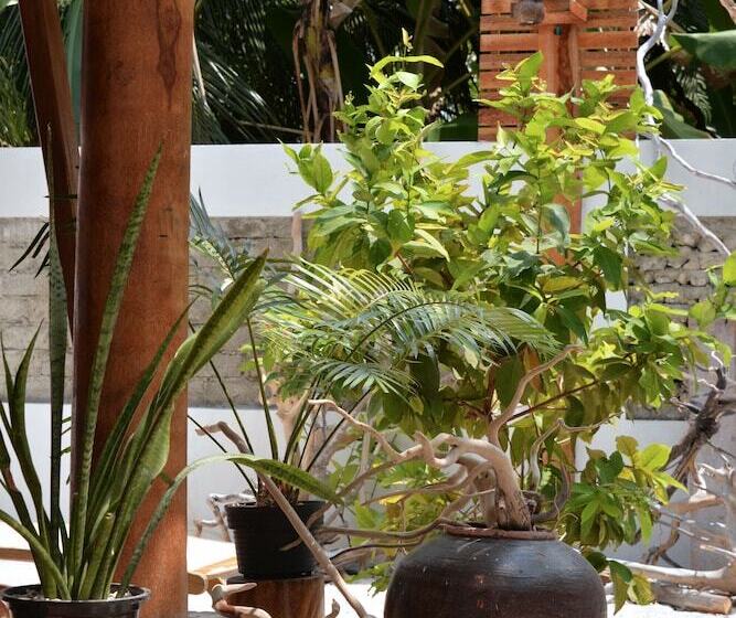 Hotel Eden Baani Lodge