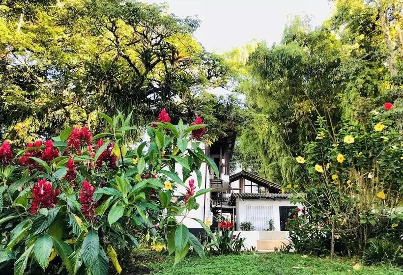 ホテル Entre Los Arboles