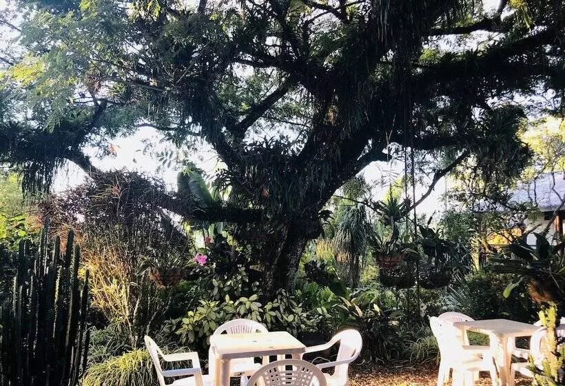 ホテル Entre Los Arboles