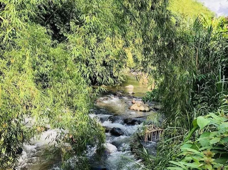 ホテル Entre Los Arboles
