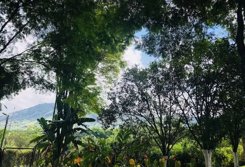 ホテル Entre Los Arboles
