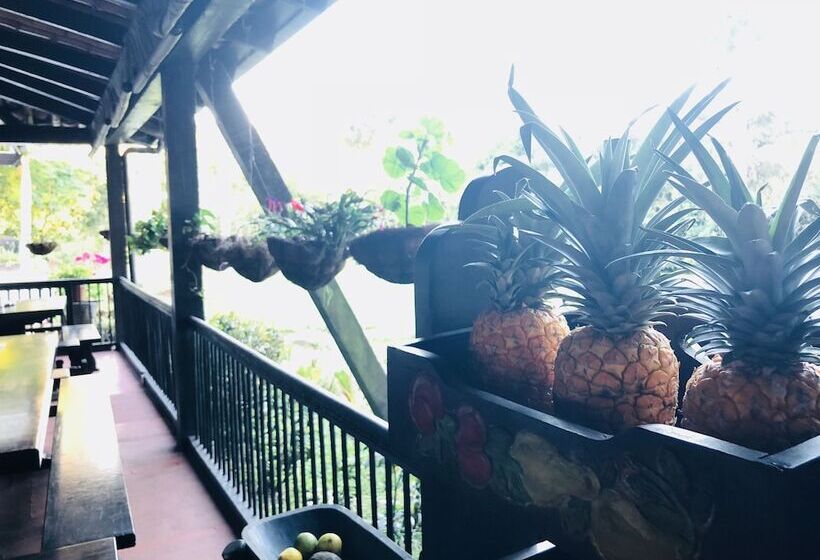 Hotel Entre Los Arboles