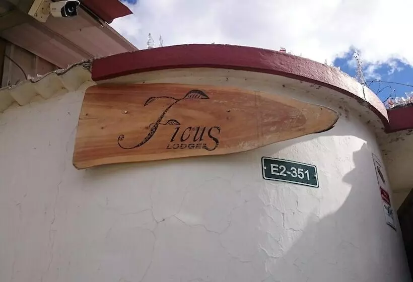 ホテル Ficus Lodge