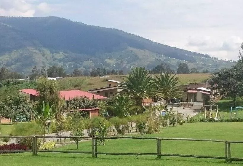 ホテル Ficus Lodge