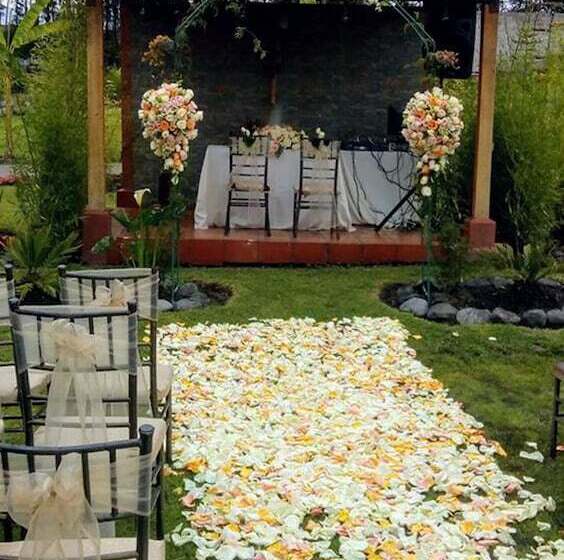 Szálloda Ficus Lodge