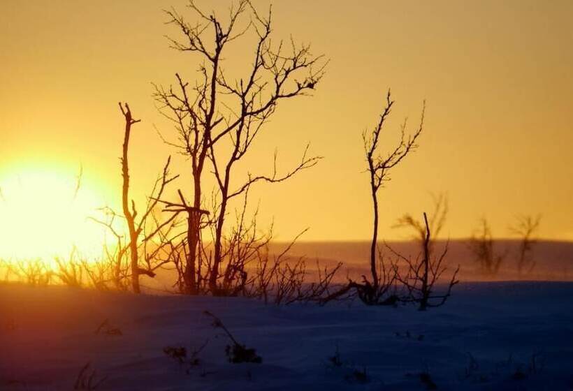 ホテル Máttaráhkká Northern Light Lodge