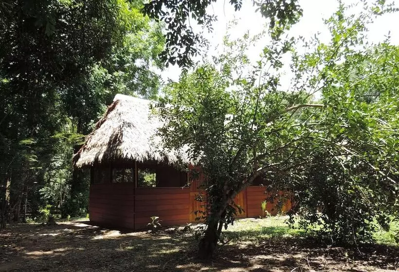 هتل روستایی Hacienda Herrera Tambopata