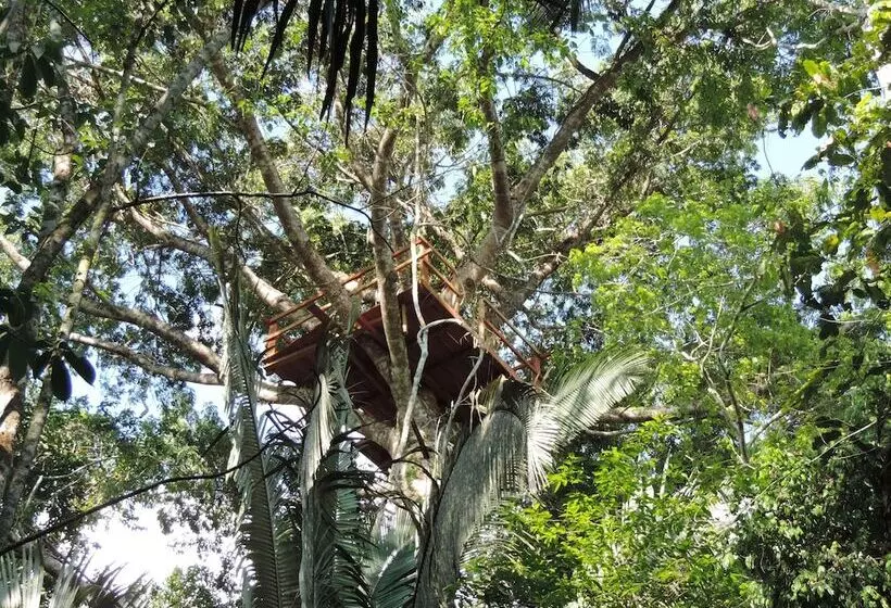 هتل روستایی Hacienda Herrera Tambopata