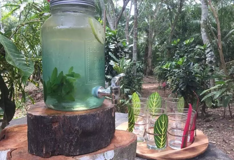 هتل روستایی Hacienda Herrera Tambopata