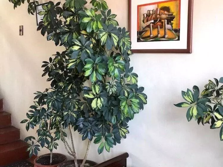 هتل Valle Del Inca