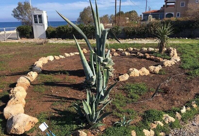 بنسيون Anissaras Beach Appartement