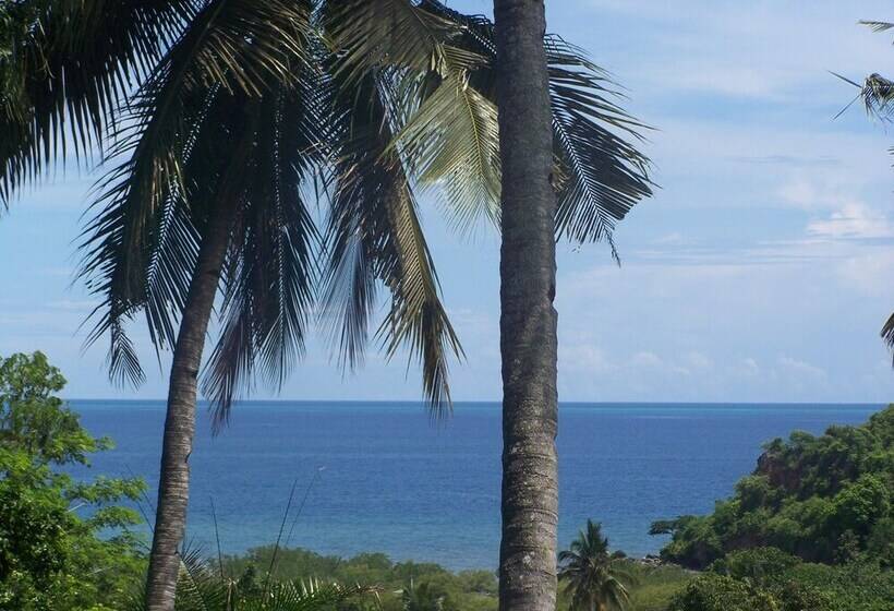 פנסיון Villa Maora