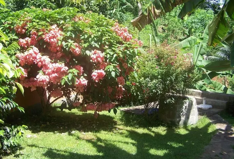 پانسیون Villa Maora