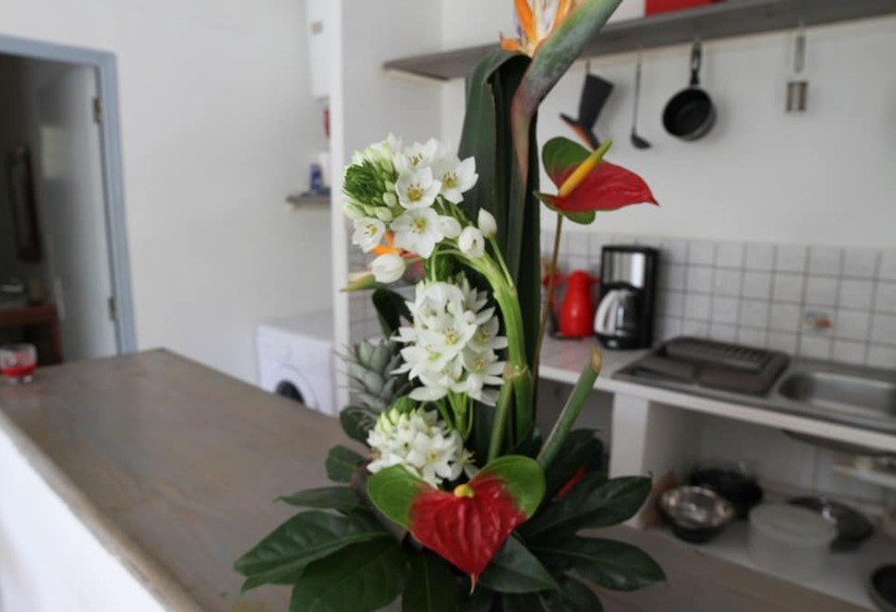 פנסיון Villa Maora