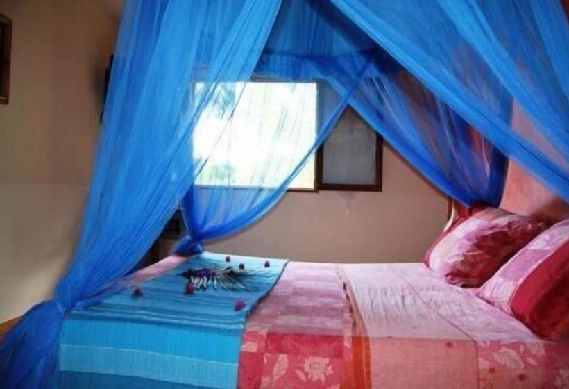 פנסיון Villa Maora