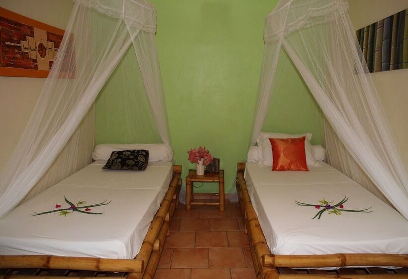 פנסיון Villa Maora