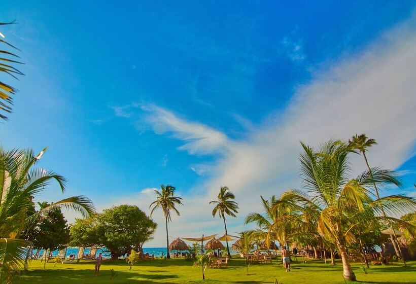 فندق صغير Isla Mucura