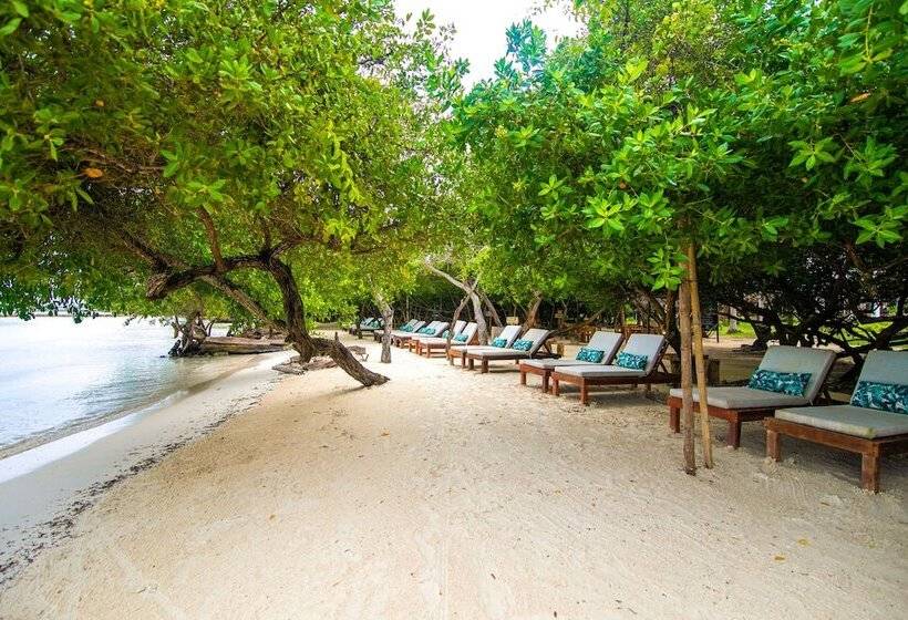 فندق صغير Isla Mucura