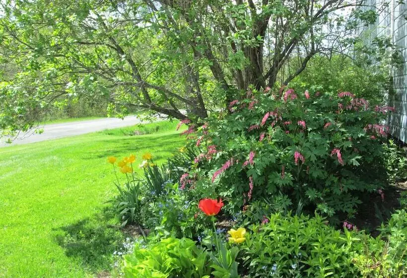 Aamiaismajoitus (B&B) Le Jardin Des Mésanges