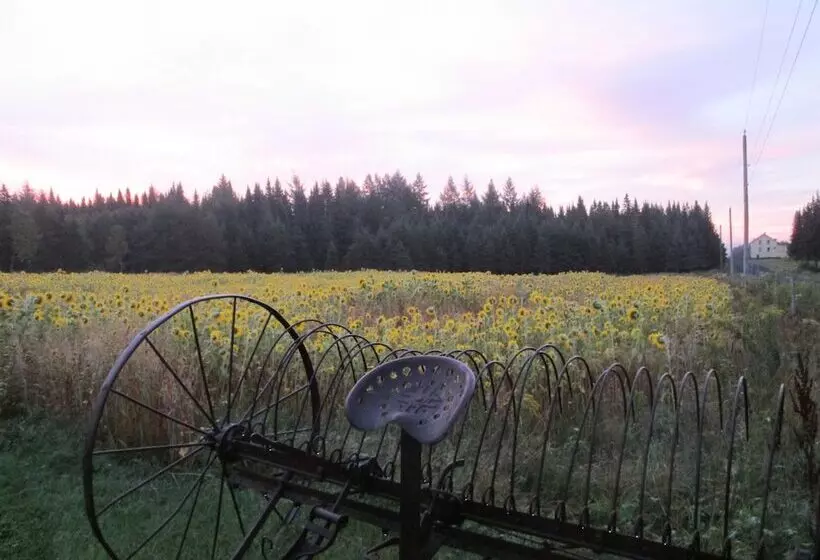 Aamiaismajoitus (B&B) Le Jardin Des Mésanges