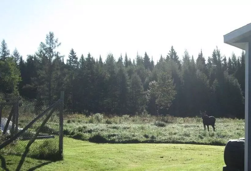 Aamiaismajoitus (B&B) Le Jardin Des Mésanges