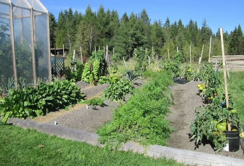 Aamiaismajoitus (B&B) Le Jardin Des Mésanges