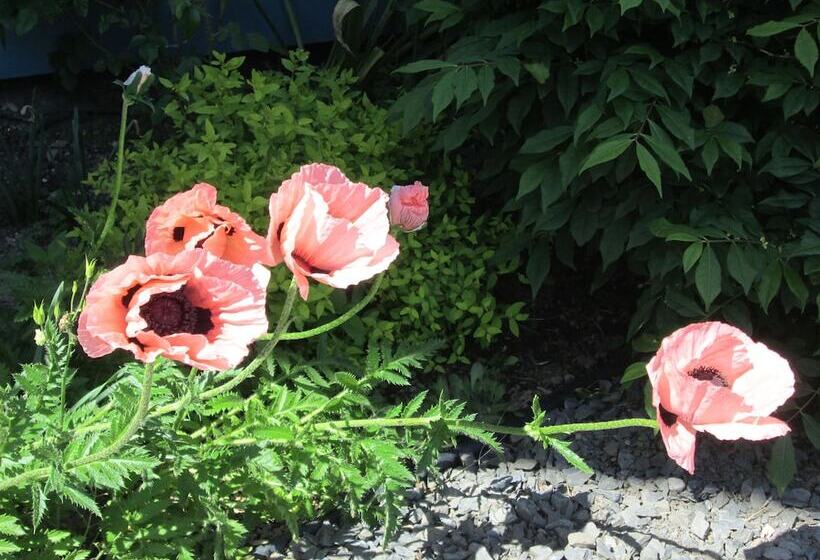 مبيت وإفطار Le Jardin Des Mésanges