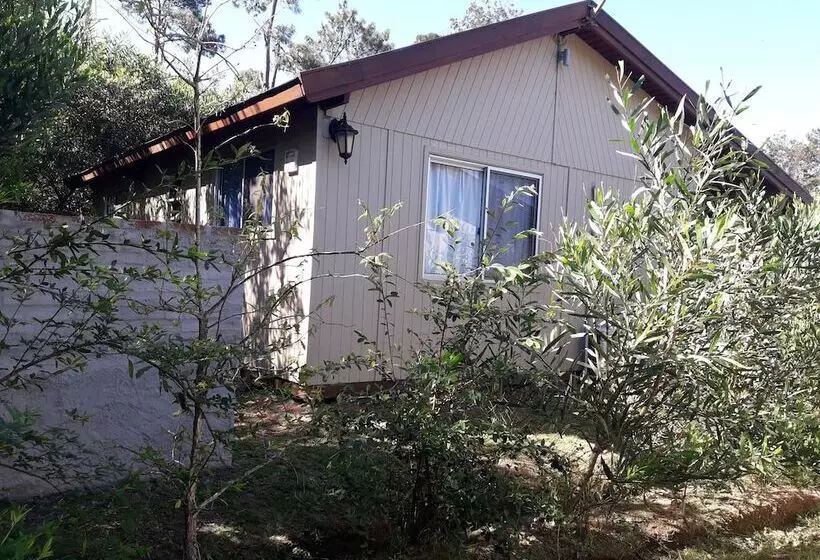 Hotelli Cabanas Del Este