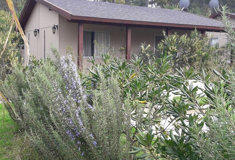 Hotell Cabanas Del Este