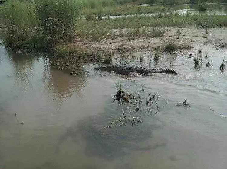 هتل Chital Lodge