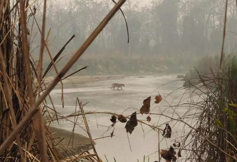 هتل Chital Lodge