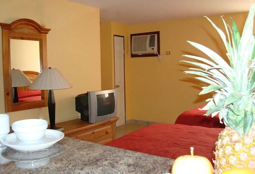 Hotel El Ejecutivo Apart